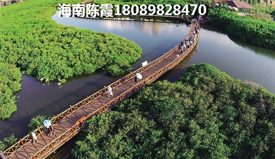 陵水适合养老吗? 陵水适合养老吗?