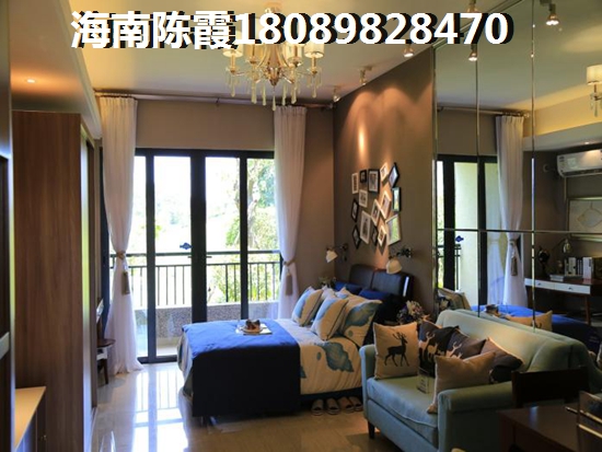 儋州的房子以后会shengzhi吗？