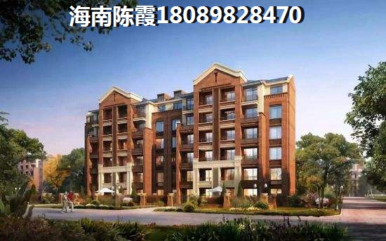 定安定安房价为什么这么贵？
