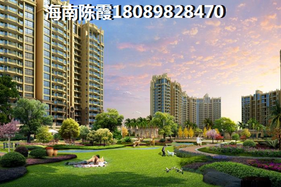 南海之滨怎么样？