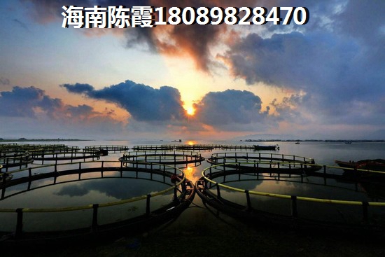 三亚崖州区房子怎么样？