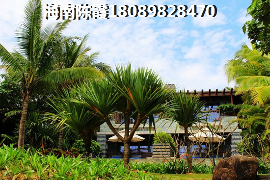 望海金豪怎么样？