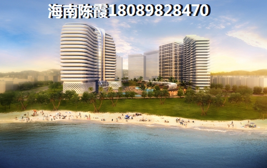 蓝城印象2021项目优缺点分析~