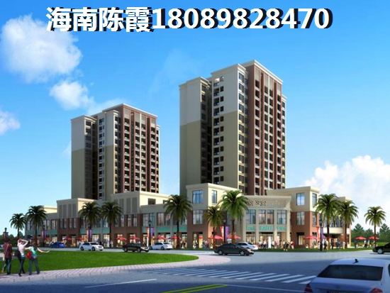 乐东九所购房怎么样？