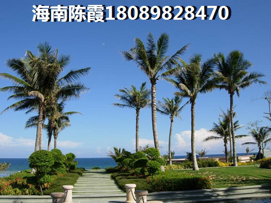三亚海棠湾优势