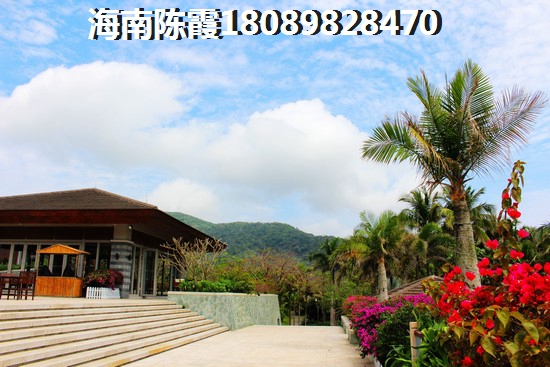 陵水县2025的发展前景