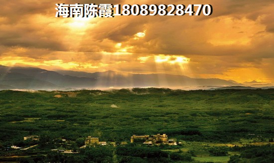 海口二手房投资分析