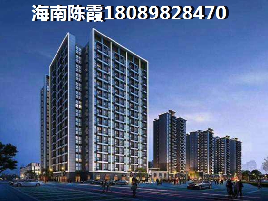 海南岛XG政策最新2025