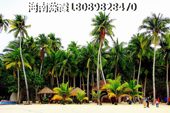 海南海口市生活方便吗？