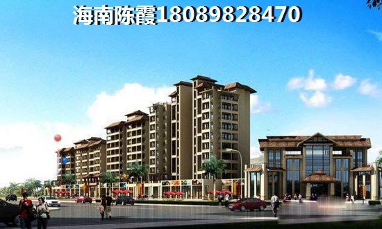 海南在哪里买房升值空间最大，海棠中央房子性价比怎么样？