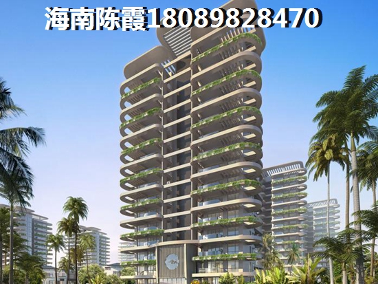 业主为什么看好海南未来前景？