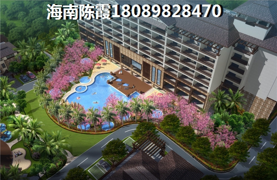 文昌月亮湾小区的开发商是哪个，文昌月亮湾房子还能入手吗