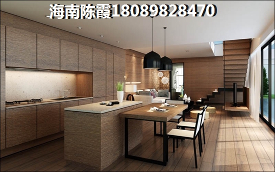 海南自贸港300万别墅在什么楼盘？