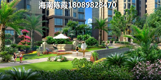 白沙XG政策