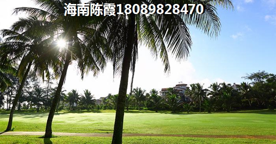 为什么那么多候鸟老人来海南保亭县买房子
