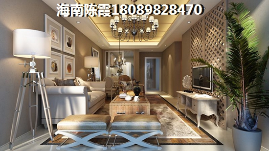 乐东九所房价涨还是跌了？