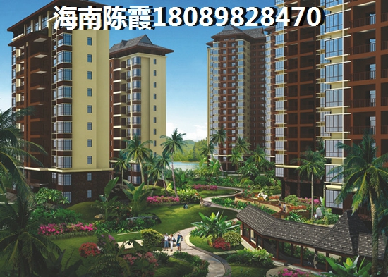 椰子洲岛房价上涨趋势？