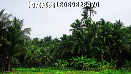 海南昌江房产到底有哪些优势，昌江房价开始降了吗？