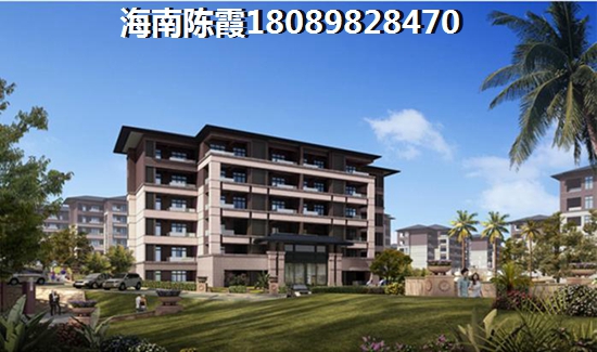 海南岛房价走势分析购房时机与房产升值潜力探讨