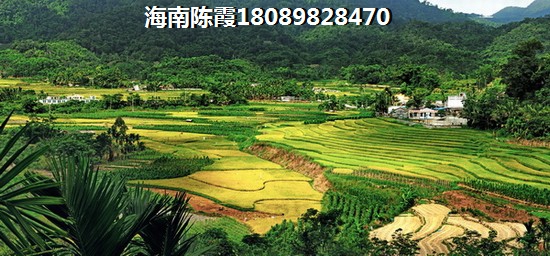 海南绿城·桃源小镇 海南绿城·桃源小镇