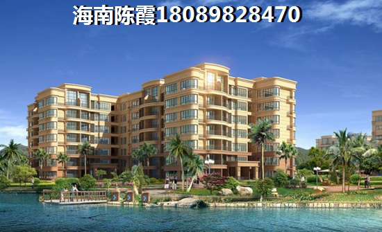 海口建材城